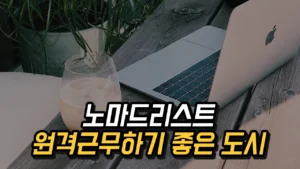 Read more about the article 해외에 살면서 원격으로 일하기 가장 좋은 도시는? – 피터 레벨스의 노마드리스트 2024
