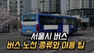 Read more about the article 서울시 버스 노선 종류 5가지 – 간선, 지선, 순환, 광역, 마을버스 차이, 환승 조건