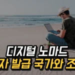 디지털 노마드 비자 발급 국가와 조건 총정리 2025