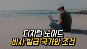 Read more about the article 디지털 노마드 비자 발급 국가와 조건 총정리 2025