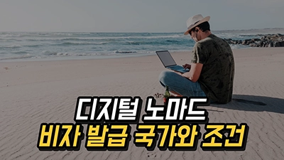 디지털 노마드 비자 발급 국가와 조건 총정리 2025