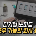 원격근무 가능한 회사 추천, 재택근무 외국계·국내 기업 총정리 2025