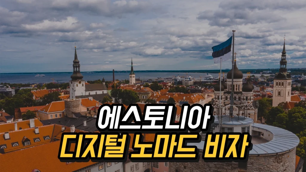 에스토니아 디지털 노마드 비자: 세계 최초의 원격 근무 비자 제도 2025