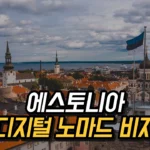 에스토니아 디지털 노마드 비자: 세계 최초의 원격 근무 비자 제도 2025