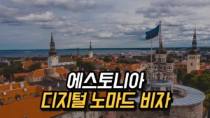 Read more about the article 에스토니아 디지털 노마드 비자: 세계 최초의 원격 근무 비자 제도 2025